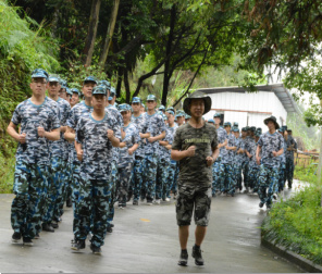 蓝狮注册专家老师构建松田企业文化系统