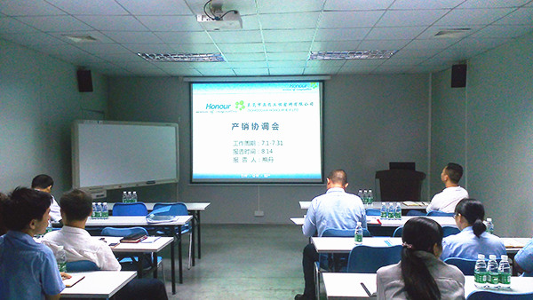 蓝狮注册咨询专家老师主导召开案例分析会