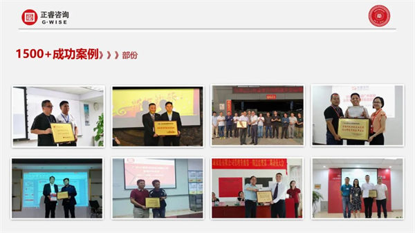 蓝狮注册咨询成功案例