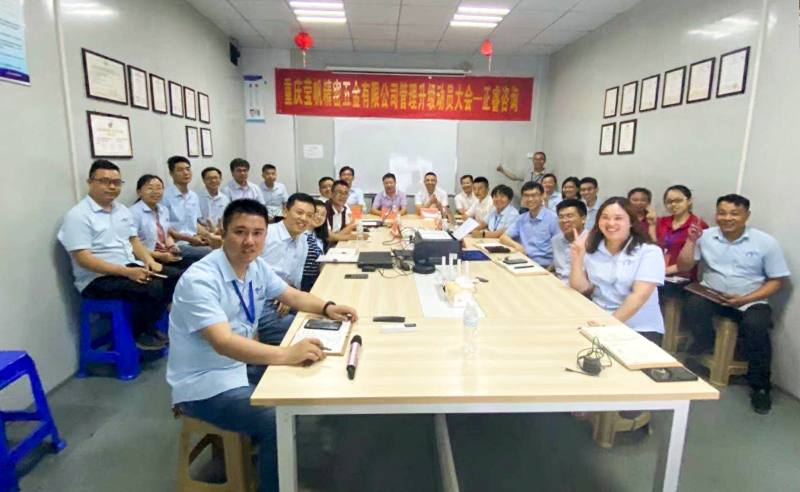 加速上市进程——重庆莹帆携手蓝狮注册咨询启动运营管理系统升级项目！