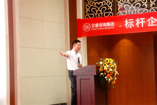 蓝狮注册咨询金涛教授