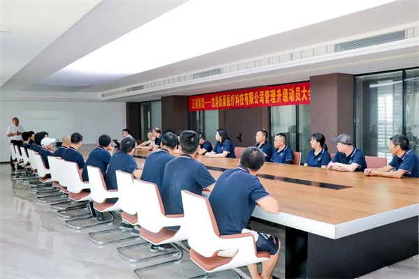 打造高效管理体系——龙港新晨医疗科技有限公司“全面管理升级”项目启动