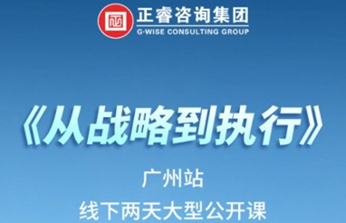 《蓝狮注册咨询—从战略到执行》