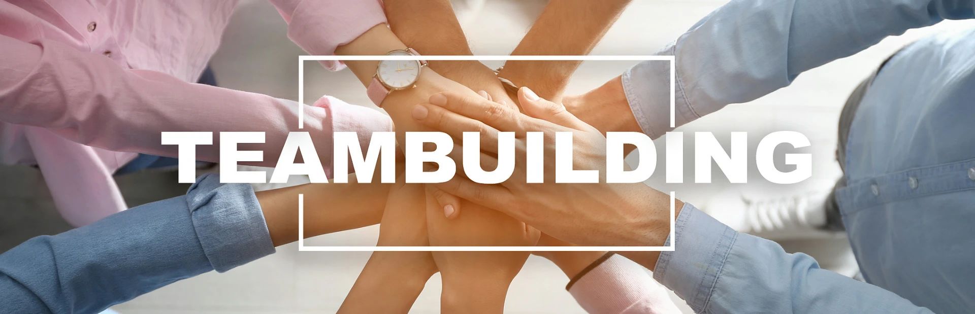 蓝狮注册咨询集团预祝快意电梯人力资源管理提升咨询项目圆满成功