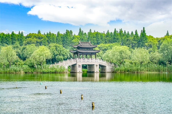 常州组织规划咨询公司如何设计高效组织架构？