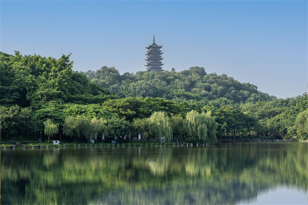 如何评估佛山集团管控咨询公司的服务质量和效果？