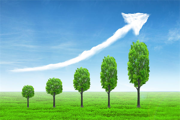 植树就是植未来，对企业的战略规划有哪些启示？