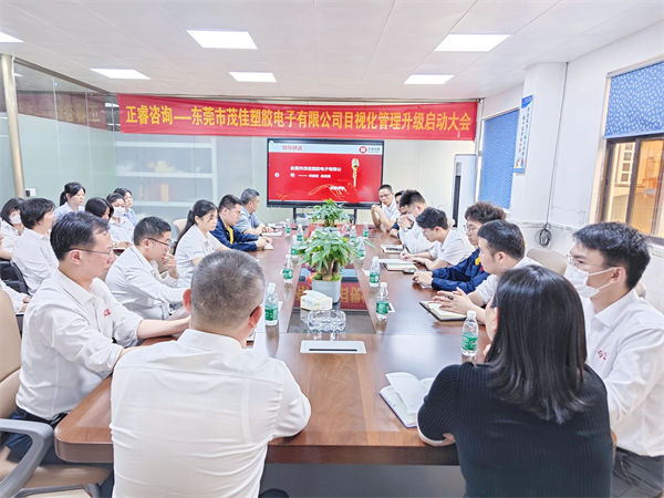 东莞市茂佳塑胶电子有限公司目视化管理升级启动大会