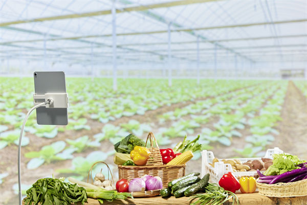 营销管理角度分析：直播带货靠的不是“演技”而是诚信