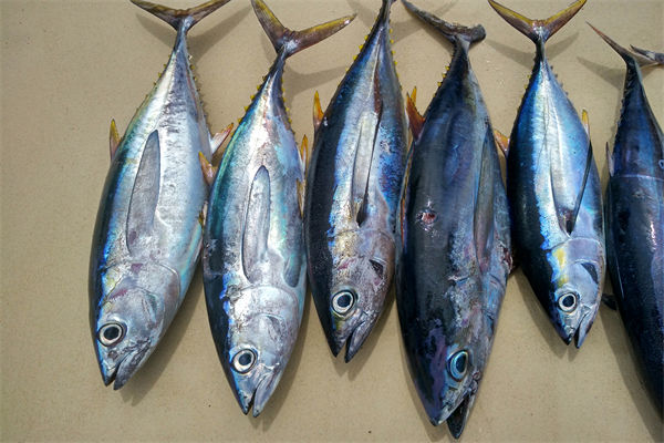 商务部：将帮助外贸企业扩宽内销渠道，政策解读！